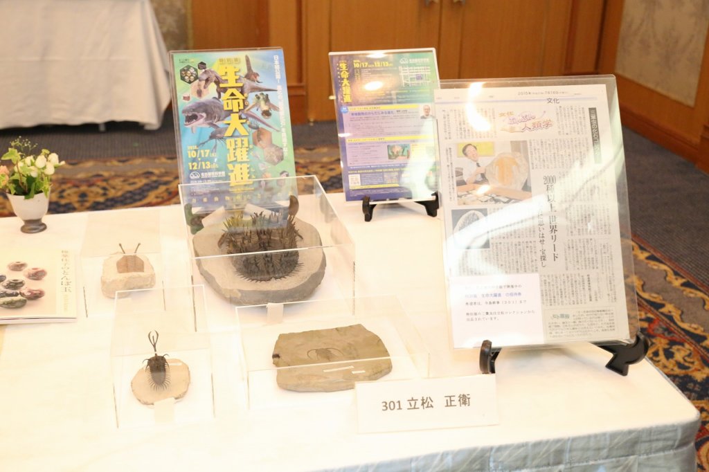 b2a8528.jpg